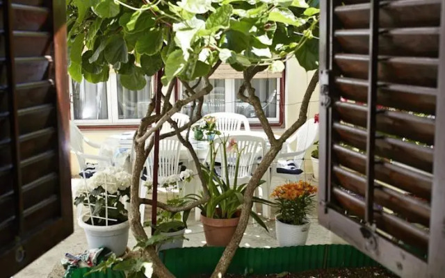 Room in Little House Marjan