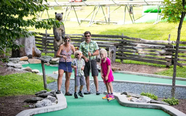 1br Ski-in, Ski-out With King Bed- Okemo Mtn Lodge 1 Bedroom Condo by RedAwning