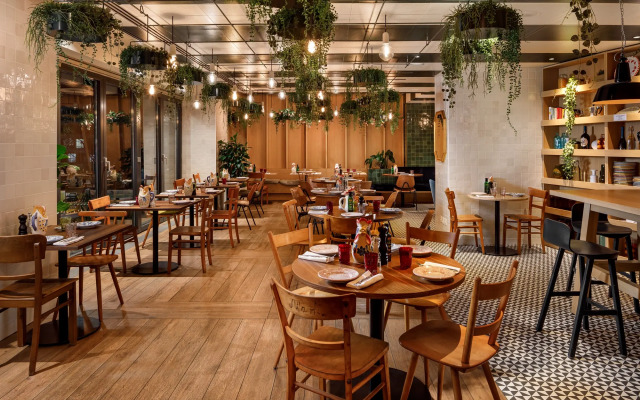 Alpha Palmiers by Fassbind