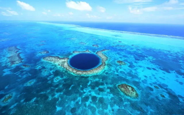 Belize Dive Haven