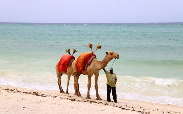 Diani Reef Beach Resort & Spa