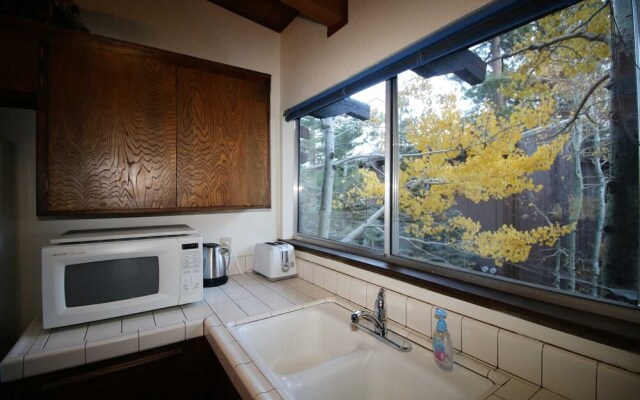 Mammoth S #135 2 Bedroom Condo