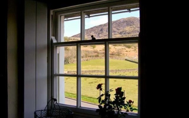 Carreg Gleision