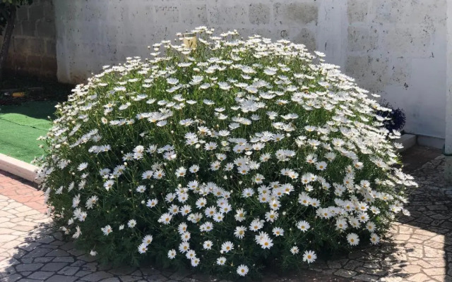 Appartamento degli ospiti con parcheggio