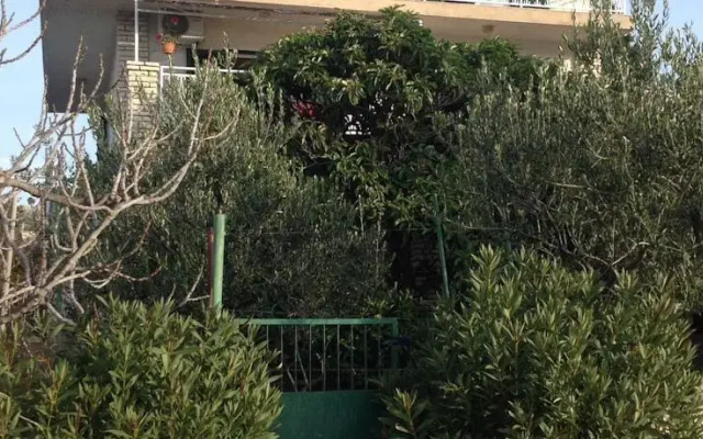 Apartments Miro
