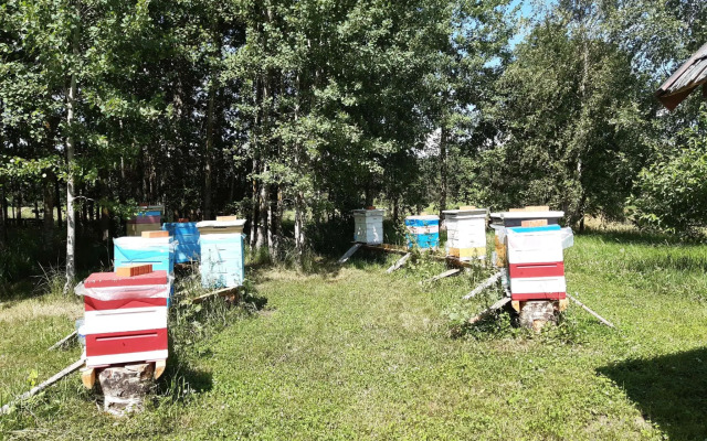 Дом в деревне Чернокуново