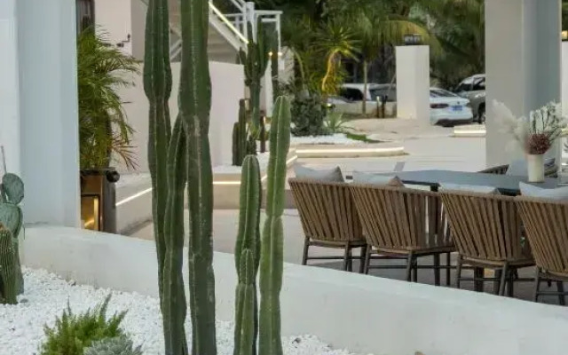 Qingye AONO Surf Design Meisu (Wanning Riyuewan Branch)