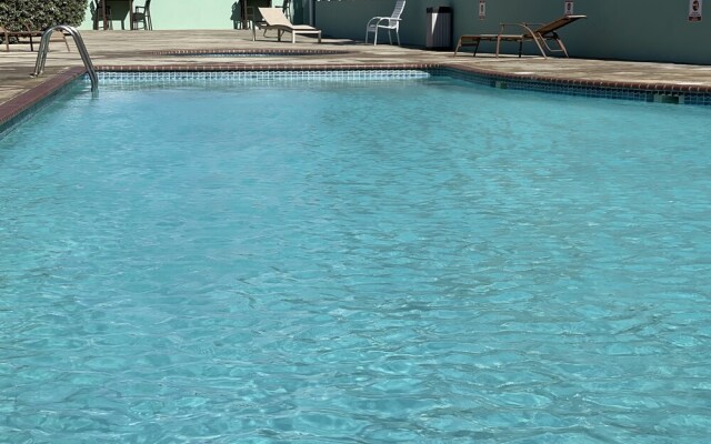 Beach condo with Pool and Ocean View