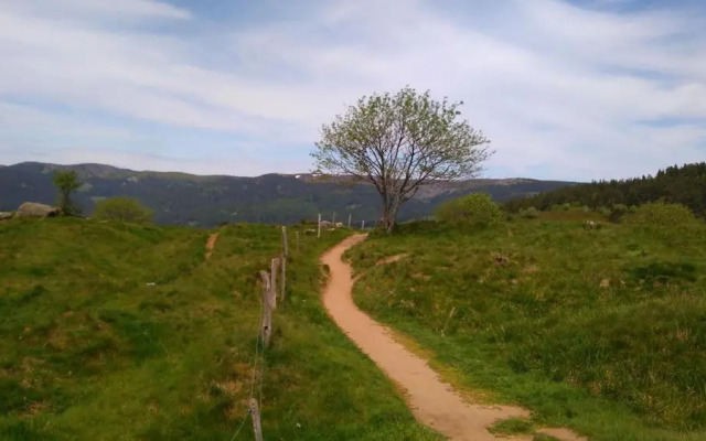 VVF Club Intense La Route des Vins d'Alsace Orbey