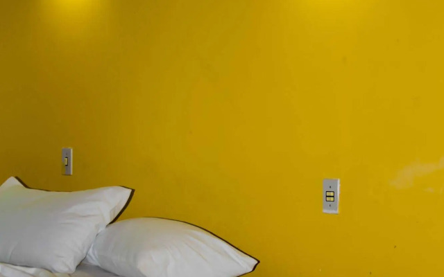 Parque Dos Igarapés