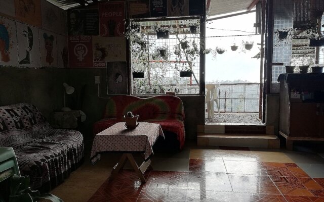 Tribuhaus Backpackers Inn