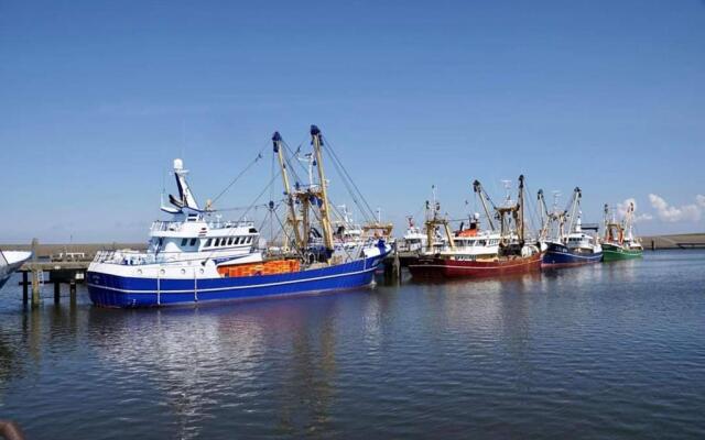 Cosy Harlingen I