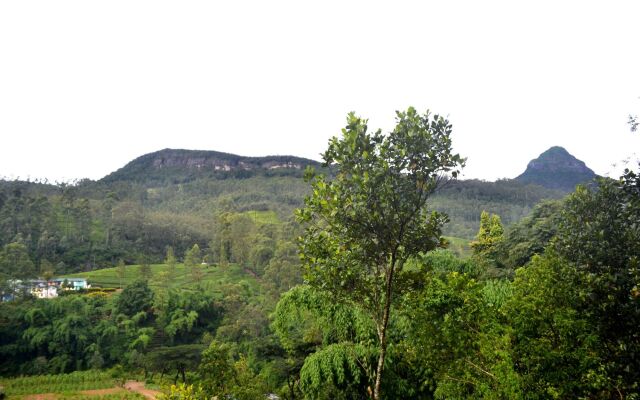 Grand Adam's peak