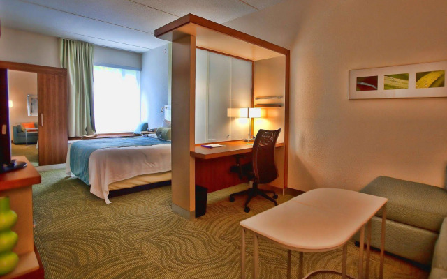 SpringHill Suites by Marriott-Houston/Rosenberg