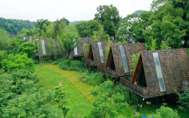 Tree Frog Resort Hotel