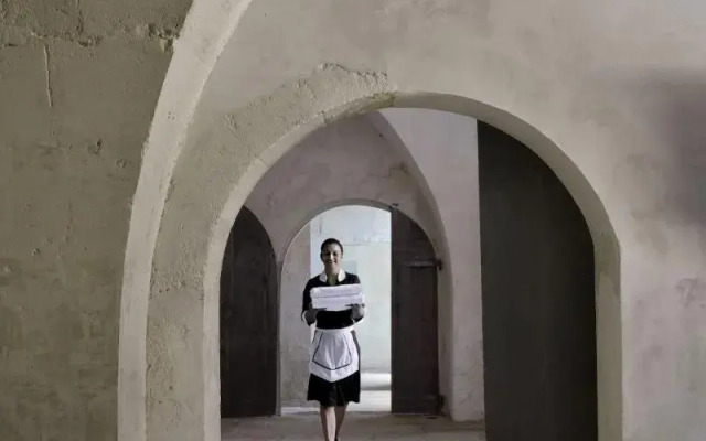 Les Maisons de l'Hôtel Particulier