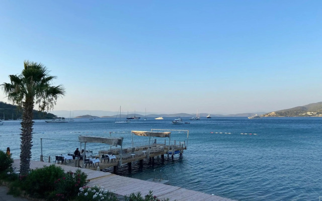 Omar Hotel & Suites