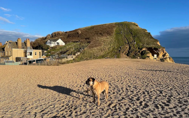 The Beach House