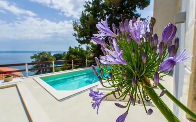 Fran - Pool View - A2 - I kat