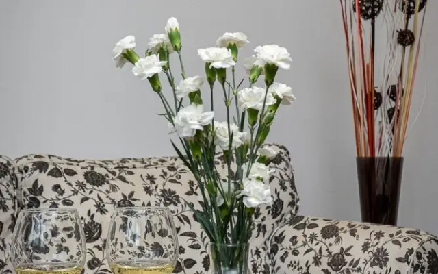 WS Old Town Apartments