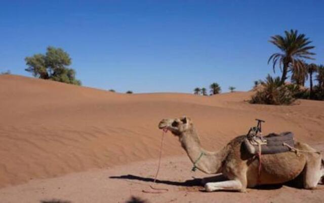 Erg Lihoudi Dunes & Bivouac