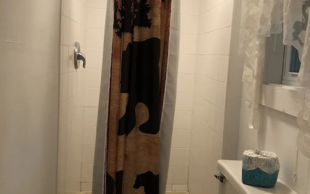 Lake George Bears Den