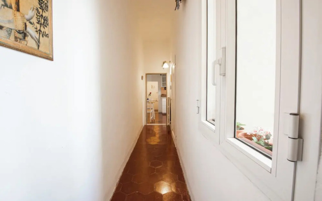 Oltrarno Classic by MMega