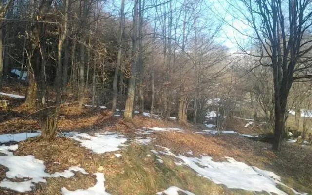 Country House Rugiada