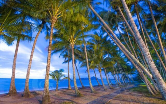 Tranquility Chill at Palm Cove