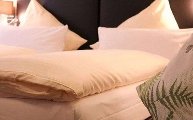 Baums Rheinhotel