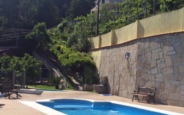 Verde Pinho