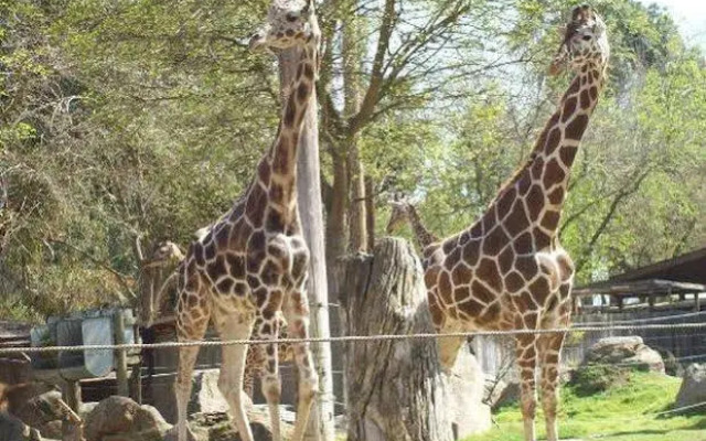 Summerfield Inn Fresno Yosemite