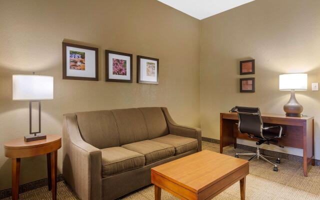 Comfort Inn & Suites Peachtree Corners
