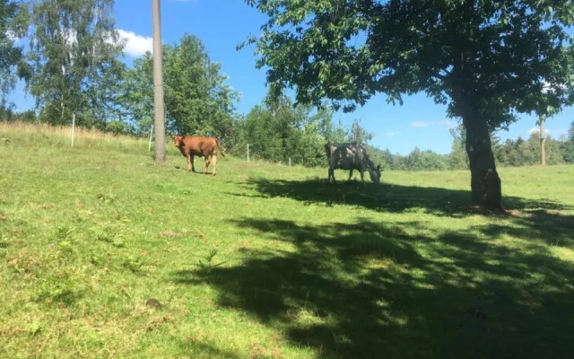 Penzion U Lucerny s malou farmičkou