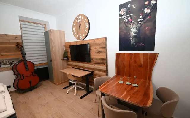 VIP Top 19 in Viena With 1 Bedrooms and 1 Bathrooms - Apartment in Viyana - Photo 5
