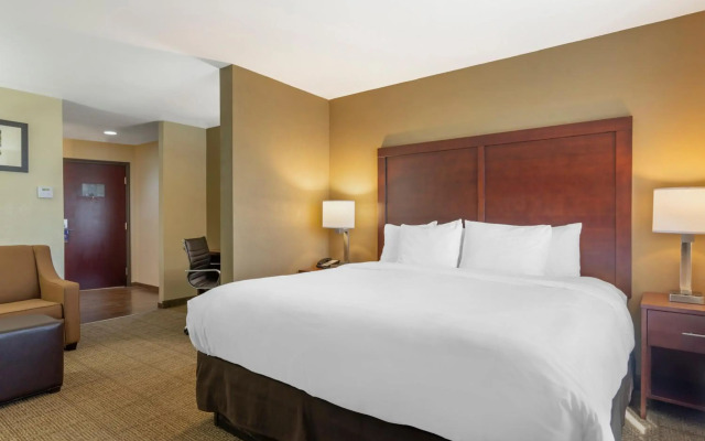 Comfort Suites Locust Grove Atlanta South