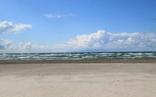 Plovers Cove Cottage