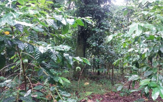 Tanna Eco Venture Bungalow