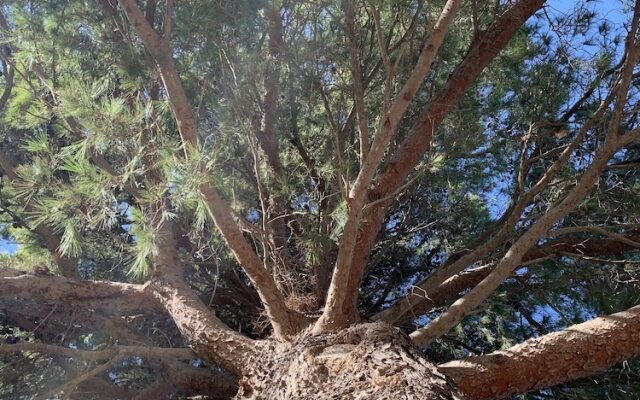 Villa Santa Margherita