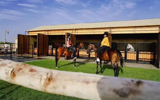 Al Marmoom Oasis Luxury Tents and Bedouin Experience