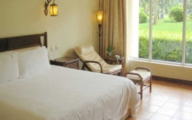 Golden Palm Resort