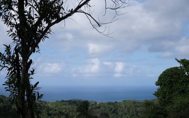 The Lion House Jamaica