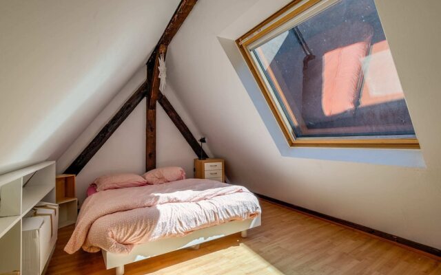 Charming Triplex For 6 Strasbourg