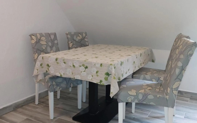 Penzion a bistro U Šelongů - Gentleman