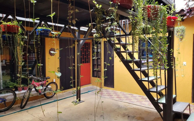 Parrot House