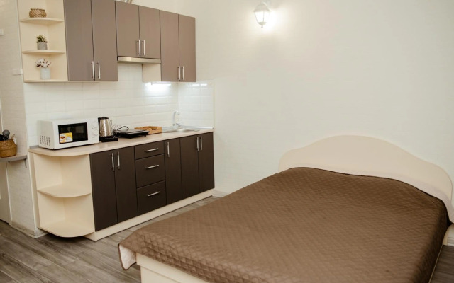 Historical center "Apartments on Kontorskaya"