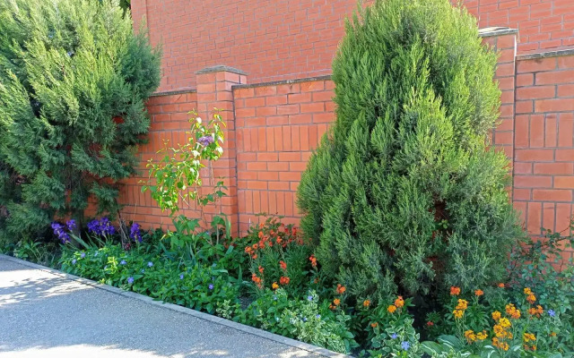 On the Collective 11