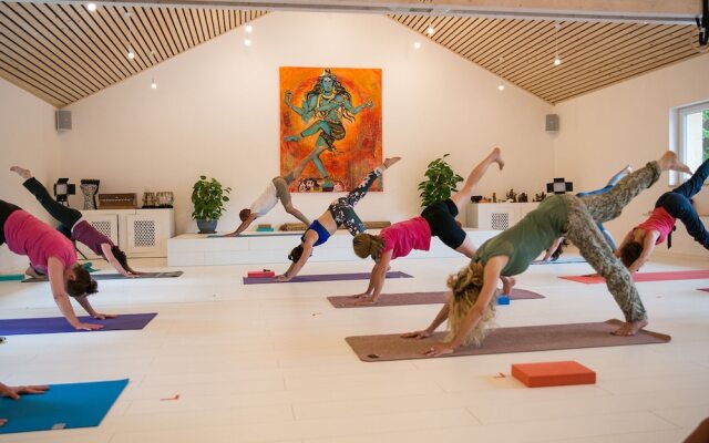 Chambres d'Hôtes Sanskriti