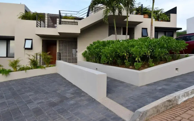 Agaves 204