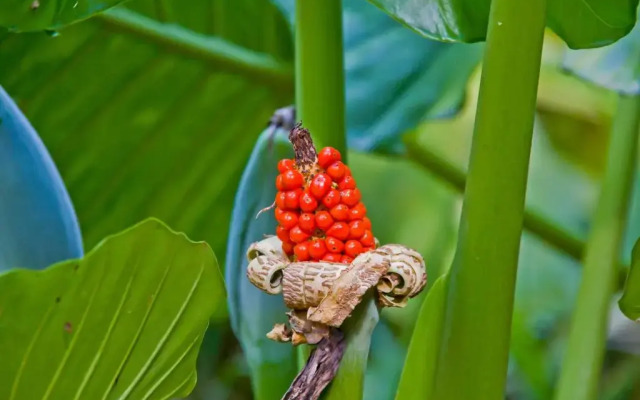 Tierra Guarani Lodge